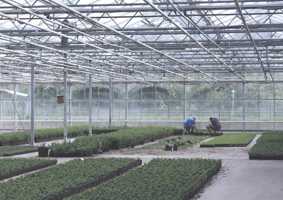 WAAK plant nursery