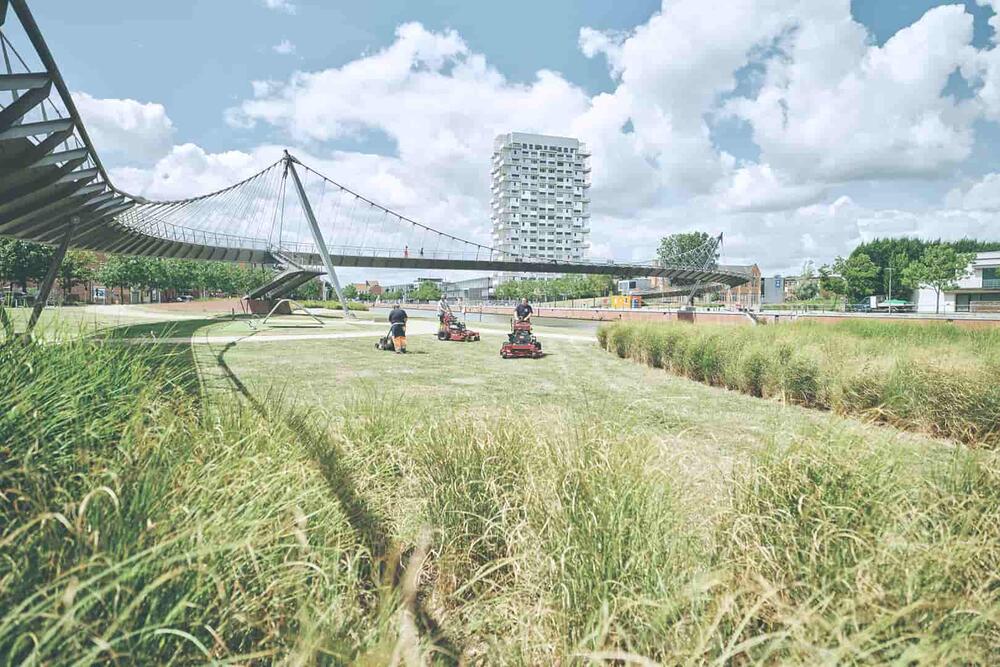 WAAK Groendienst Buda Beach Stad Kortrijk