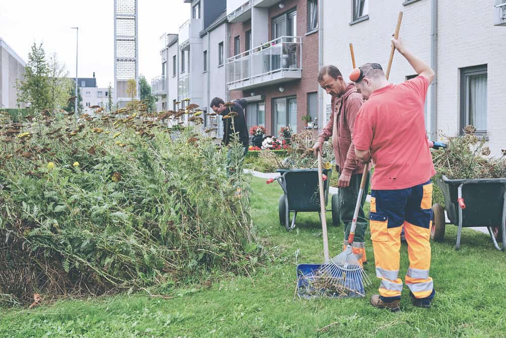 WAAK Groendienst groenonderhoud Anzegem