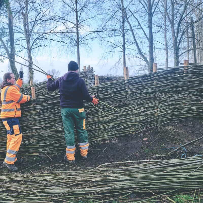 WAAK Groendienst aanleg wilgenschuttingen